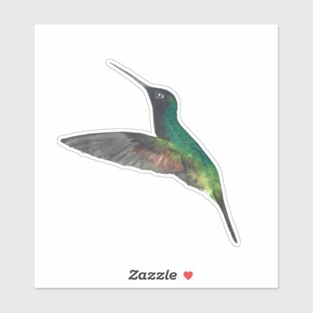 Black-bellied Hummingbird Sticker (Sheet)