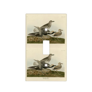 Black-bellied Plover - Audubon's Birds of America Light Switch Cover