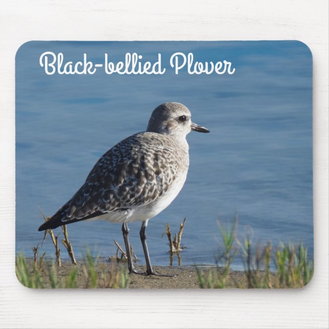 Black Bellied Plover Mouse Pad (Front)