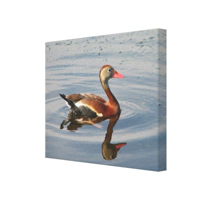 Duck Duck Gray Duck Definition Wall Art Funny Minnesota 