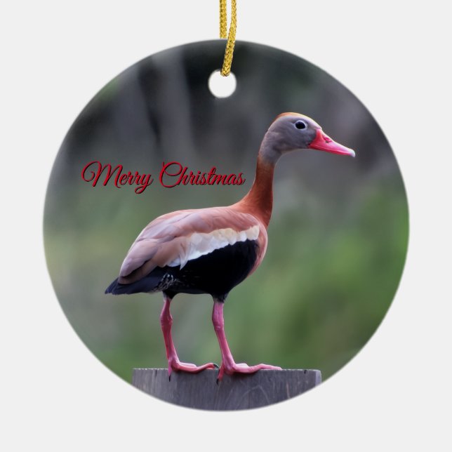Black Bellied Whistling Duck, Merry Christmas Ceramic Ornament (Front)