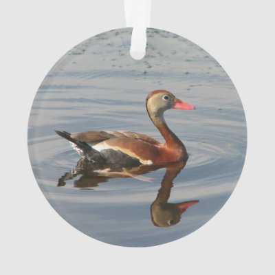 Black-bellied Whistling-Duck Ornament