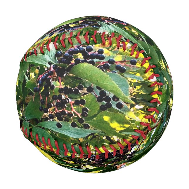 Black berries baseball (Front Right)