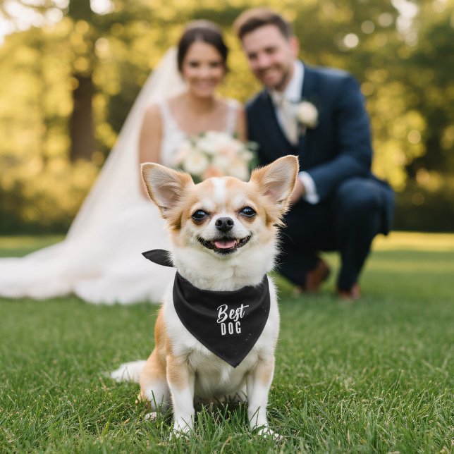 Black Best Dog Chalkboard Wedding Dog Bandana (Best dog in your bridal party? Here's their bandana! Just add their name and wedding date)