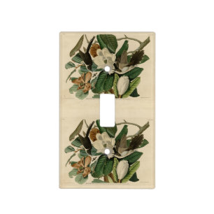 Black-billed Cuckoo - Audubon's Birds of America Light Switch Cover