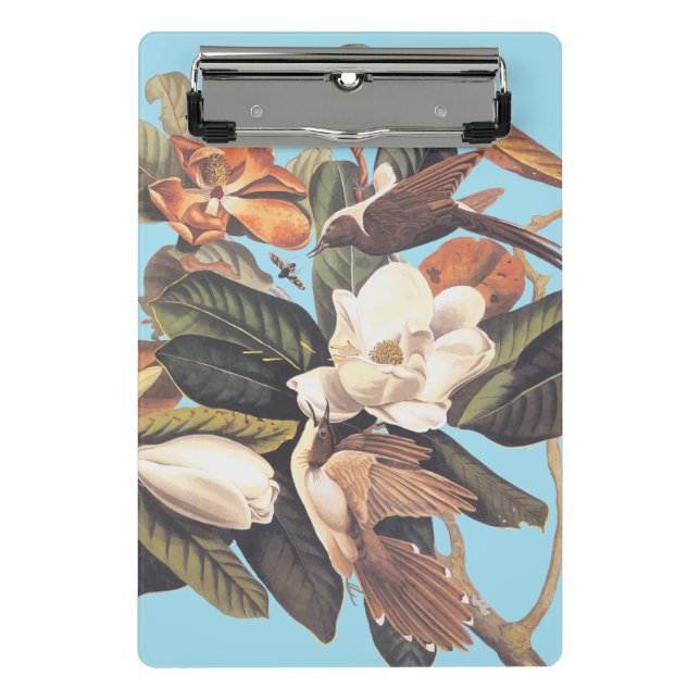 Black Billed Cuckoo Bird Mini Clipboard (Front)