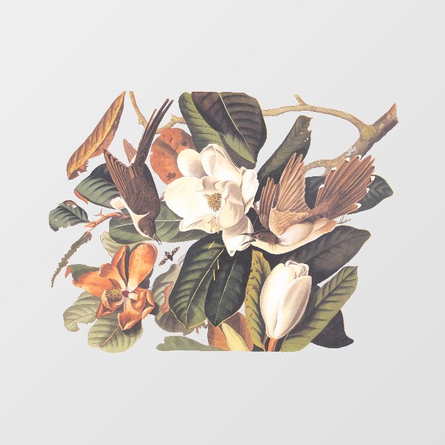 Black-Billed Cuckoo Bird Window Cling (Sheet)