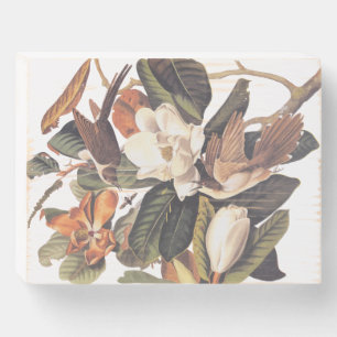 Black Billed Cuckoo Bird Wooden Box Sign