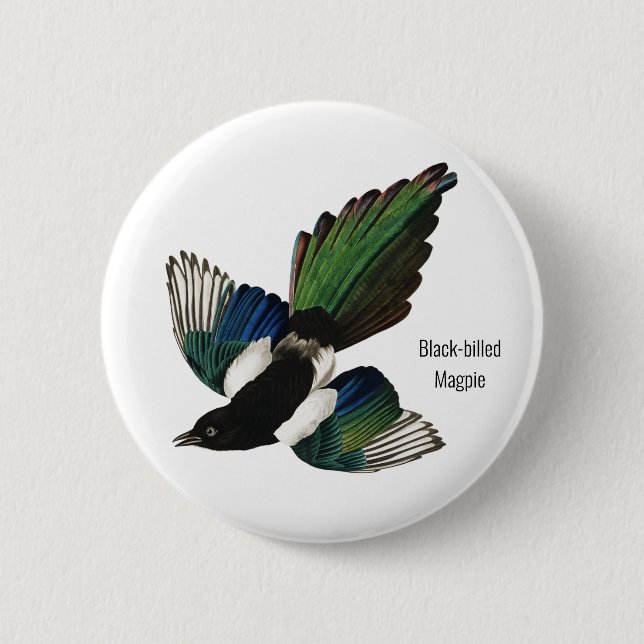 Black-billed Magpie, Audubon, American Birder, Button (Front)