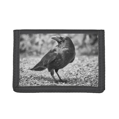 Black bird crow on the rocks trifold wallet