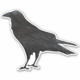 Black Bird Crow Sticker