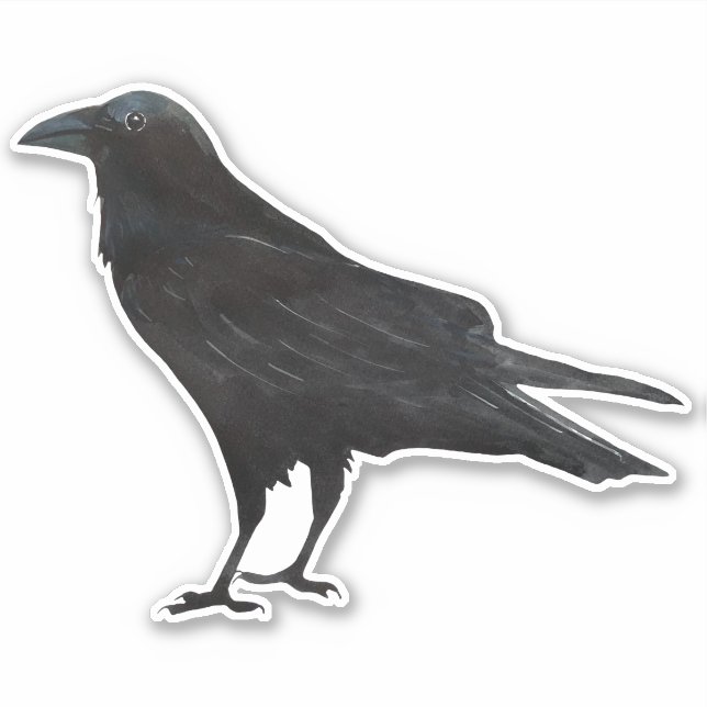 Black Bird Crow Sticker (Front)