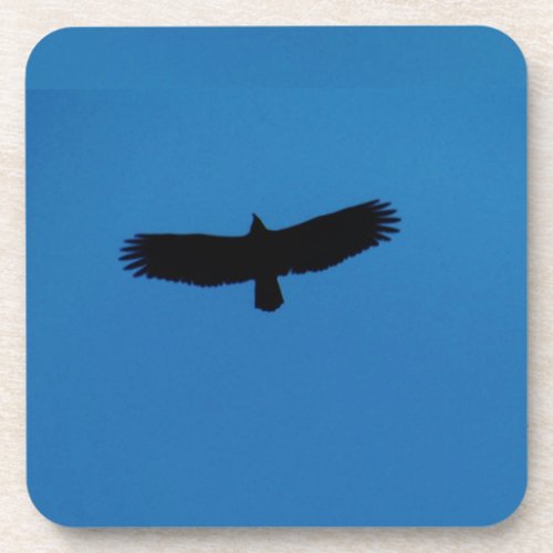 Black bird in a Blue Sky Coaster