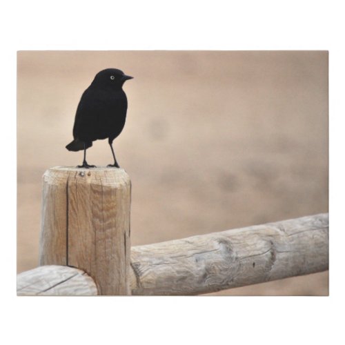 Black Bird on a Fence Faux Canvas Print