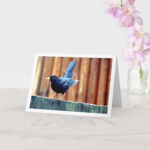 Black Bird On Fence Card