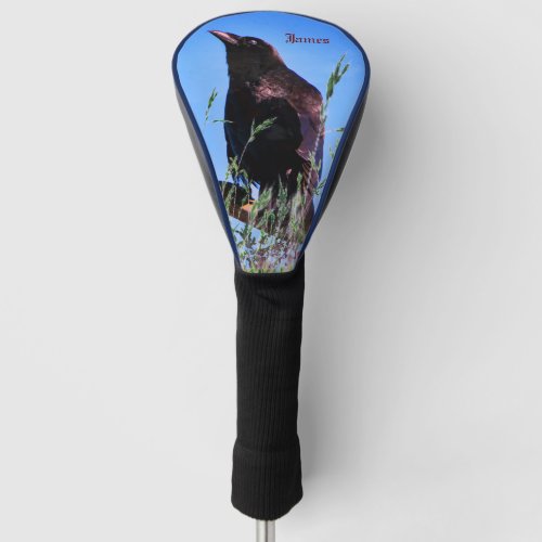 Black Bird _ Raven  Golf Head Cover