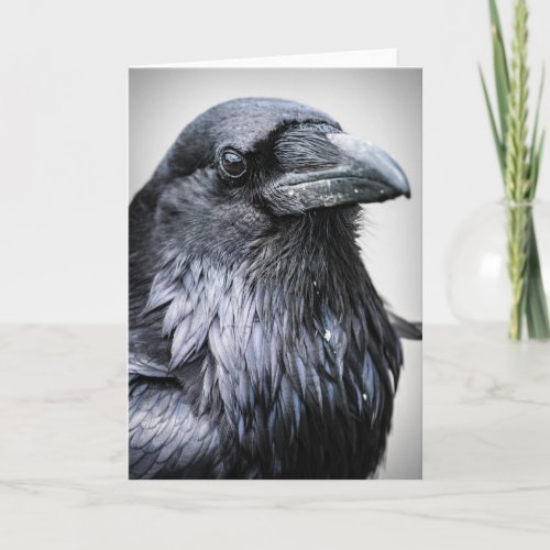 Black Bird Says Hi Card