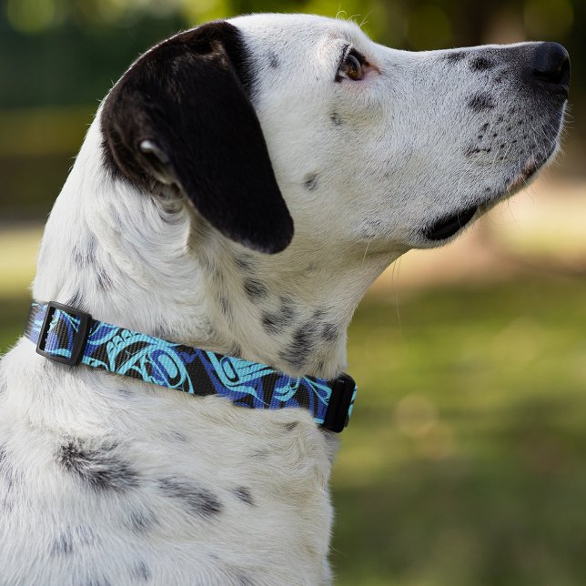 Black Blue Haida Eagle Thunder Bird Native Art Pet Collar (Creator Uploaded)