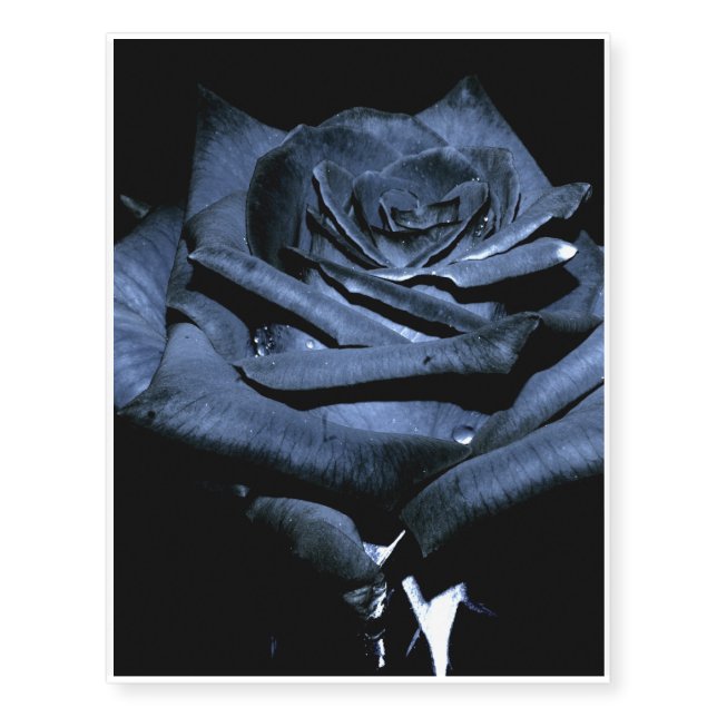 black blue rose temporary tattoos (Front)