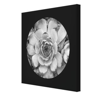 Black Border Circle Shape Photo Canvas Print