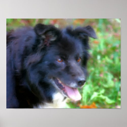 Black Border Collie Dog Art Photo Painting Poster