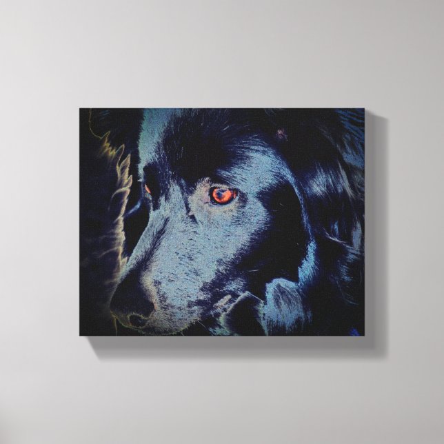 Black Border Collie Dog Face Canvas Print (Front)