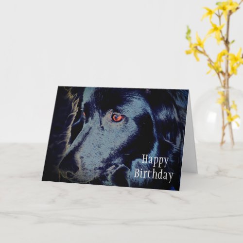 Black Border Collie Face Animal Art Birthday Card