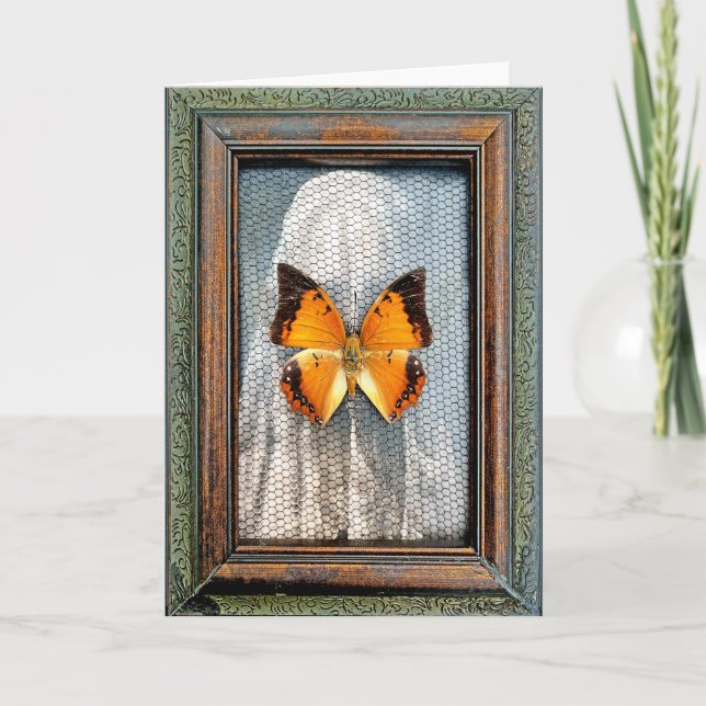 Black-Bordered Charaxes Butterfly Greeting Card NV (Front)