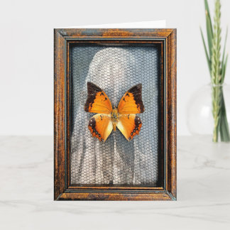 Black-Bordered Charaxes Butterfly Greeting Card V2