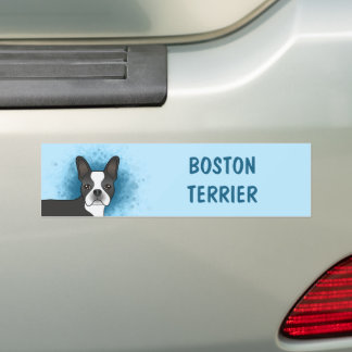 Black Boston Terrier Cartoon Dog On Blue &amp; Text Bumper Sticker