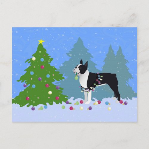 Black Boston Terrier in Christmas Forest Holiday Postcard