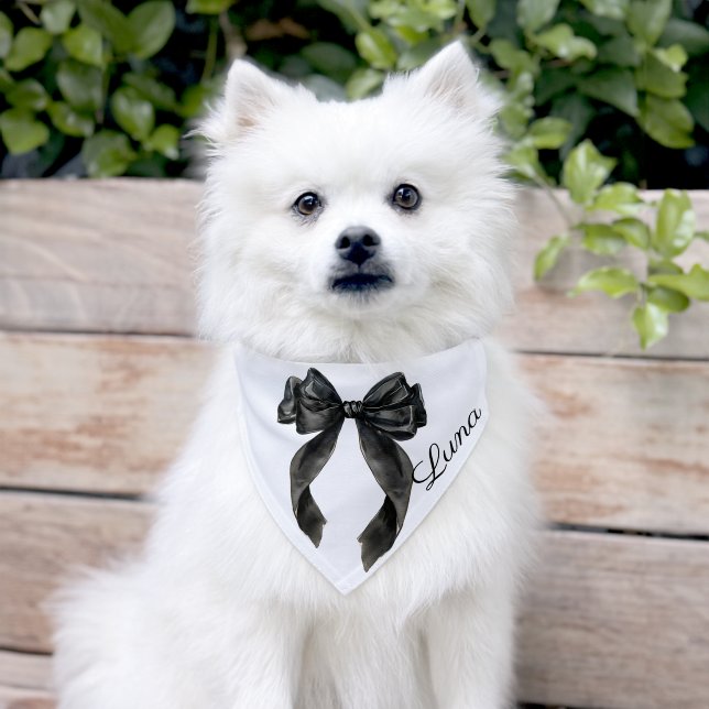 Black bow elegant wedding formal coquette pet bandana collar (Dog)