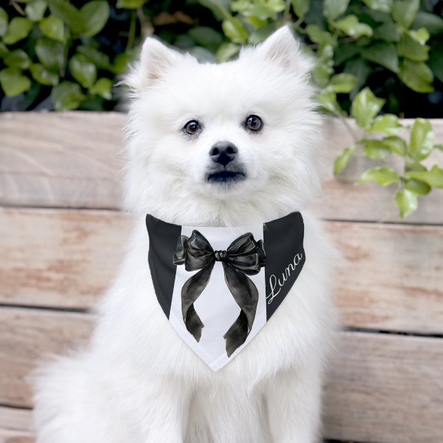 Black bow elegant wedding formal coquette pet bandana collar (Dog)