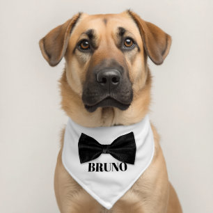 Black Bow Tie With Name Pet Bandana Collar