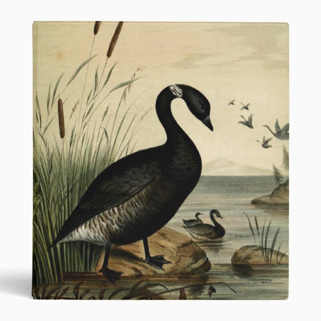 Black Brant Goose 3 Ring Binder (Front)