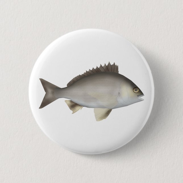 Black Bream Button (Front)