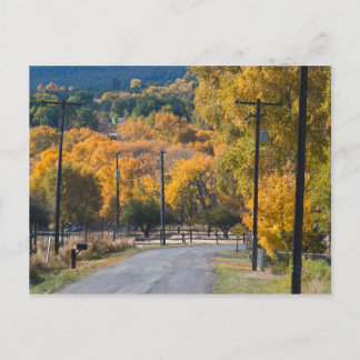 Black Bridge Road Postcard
