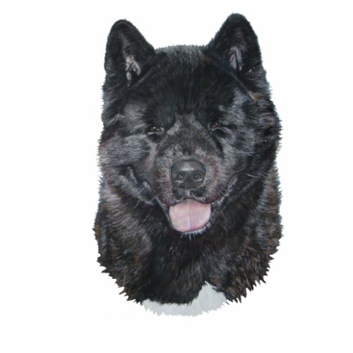 Black brindle akita dog portrait sculpture magnet