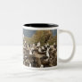 Black-browed Albatross, Thalassarche Two-Tone Coffee Mug