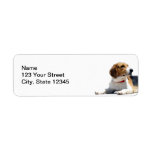 Black Brown And White Beagle Dog Return Address Label at Zazzle