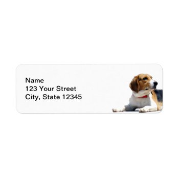 Black Brown And White Beagle Dog Return Address Label by BeSeenBranding at Zazzle