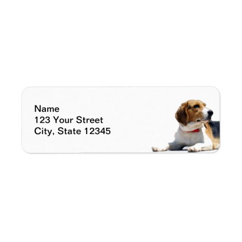 Black Brown and White Beagle Dog Return Address Label