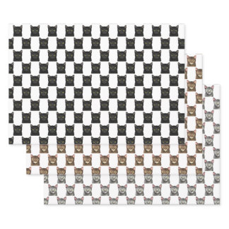 Black Brown Grey Cat Portraits Wrapping Paper Sheets