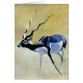 Black Buck Velavadar 1997 (Front)