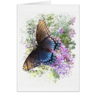 Black butterfly #2 blank cards