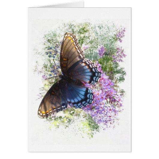 Black butterfly #2 blank cards (Front)