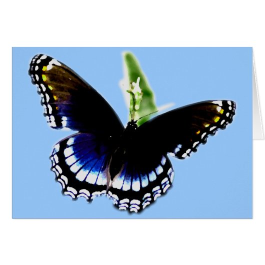 Black Butterfly Cards (Front Horizontal)