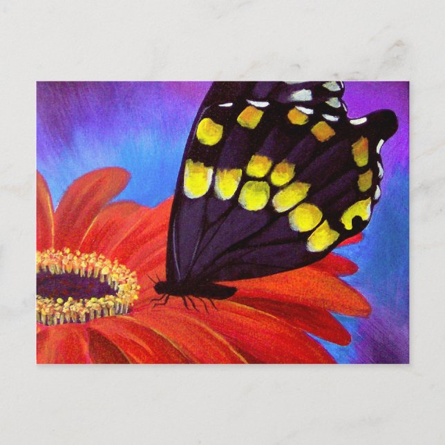 Black Butterfly Daisy Painting - Multi Postcard (Front)