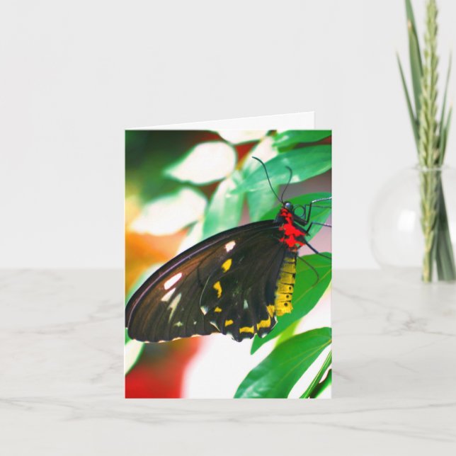 Black Butterfly Nature Customizable Note Card (Front)