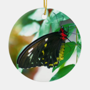 Black Butterfly Nature Ornament